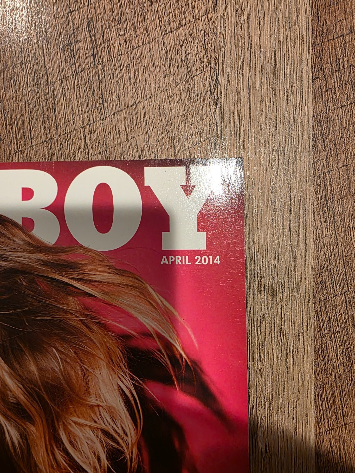 Lot of 5 2010s Playboys