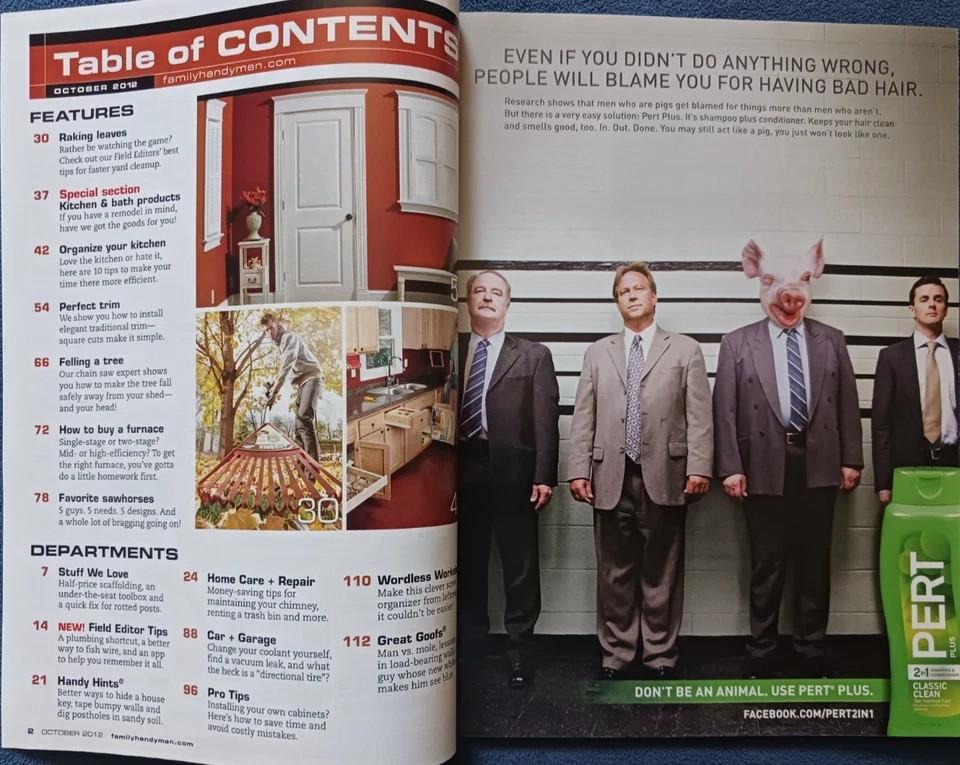Family Handyman Magazine – 2012 Full Year – Lot Of Ten Issues – Home Improvement