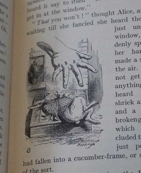Vintage Alice&rsquo;s Adventures in Wonderland, Illustrated by John Tenniel, 1953