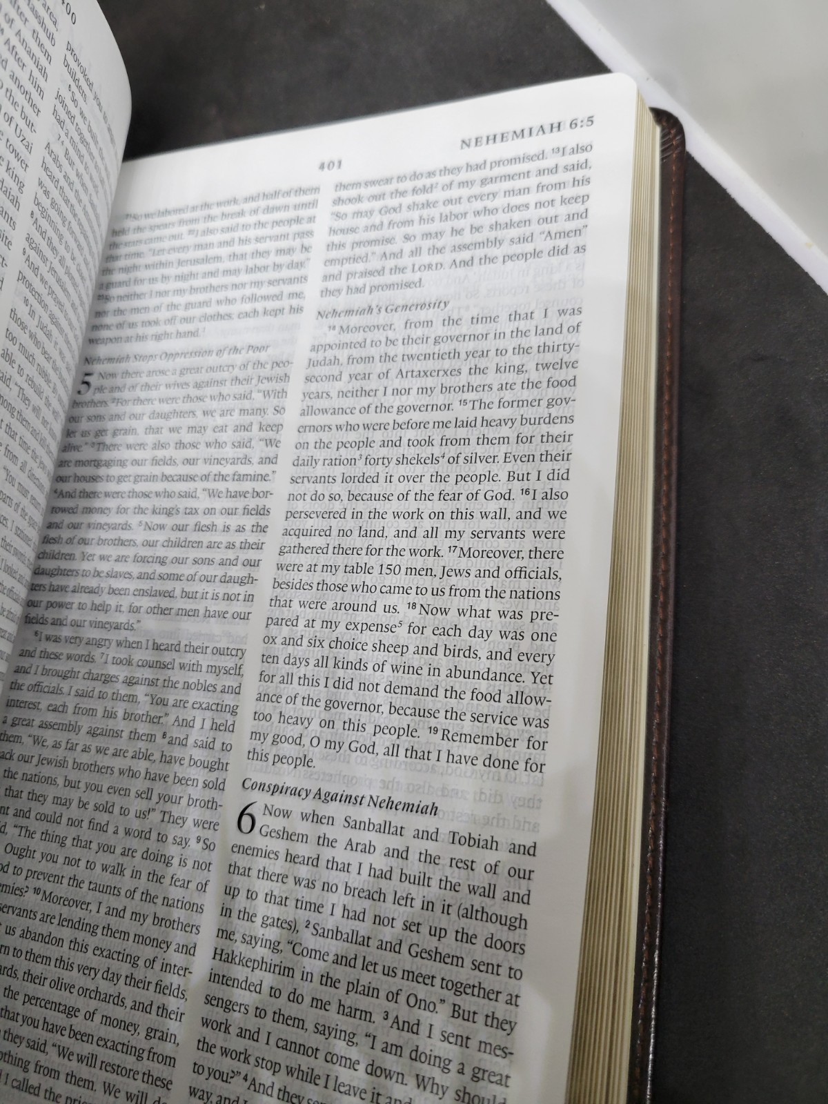 ESV THINLINE BIBLE TRUTONE Crossway Bibles Holy Bible