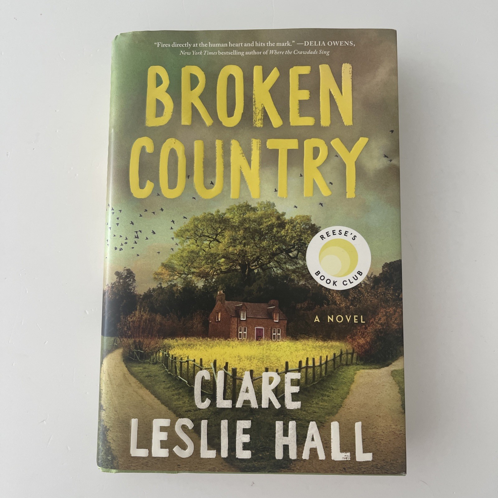 Broken Country (Reese&rsquo;s Book Club) by Clare Leslie Hall (2025, Hardcover)