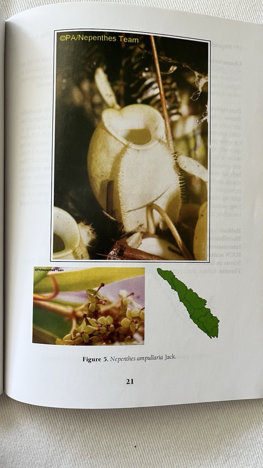 A Field Guide to the Nepenthes of Sumatra 2006 Rare Carnivorous Plant Book