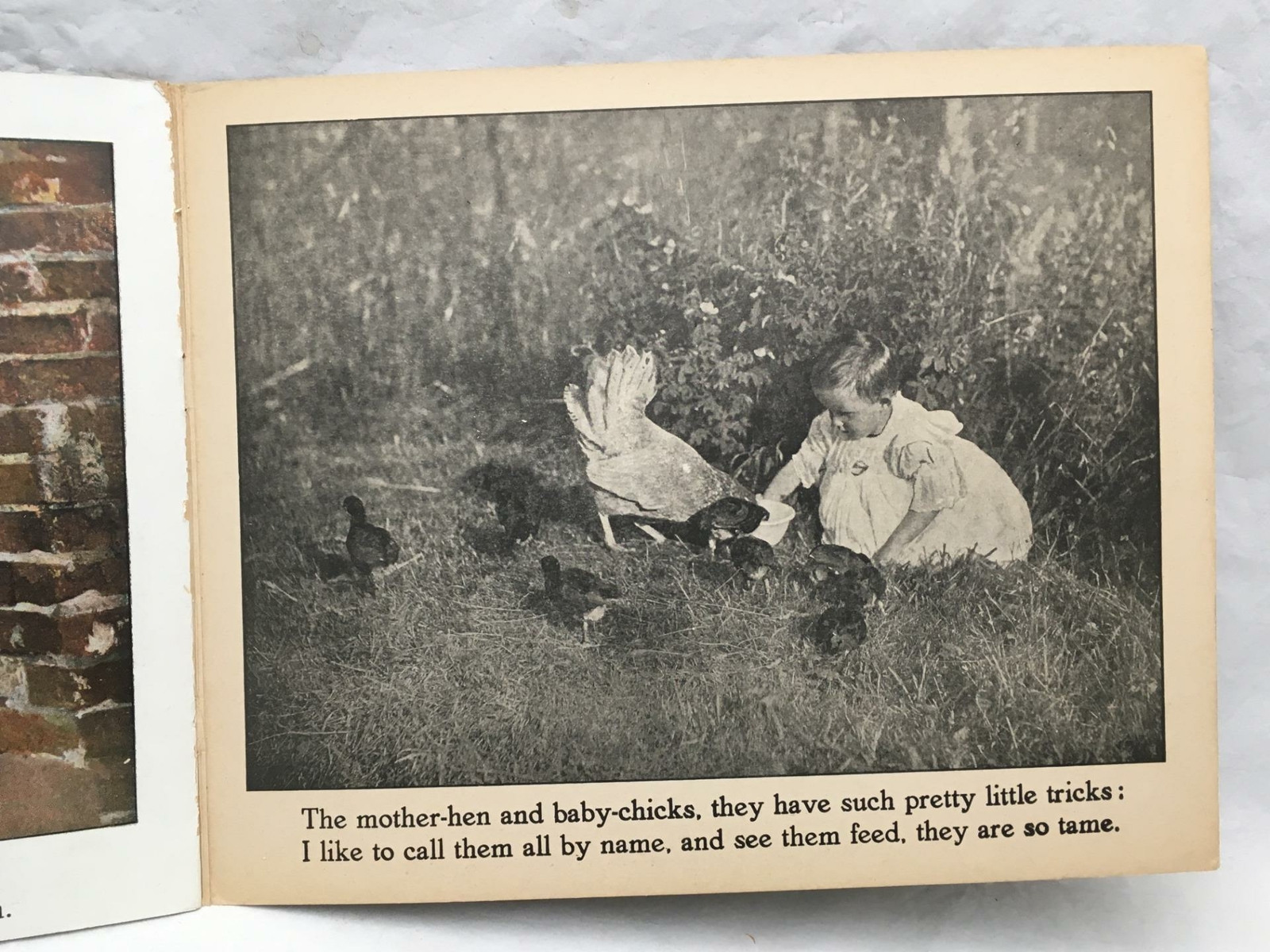Adorable Antique Children&rsquo;s Book COUNTRY PLAYMATES Great Color Images 12.25×9.75