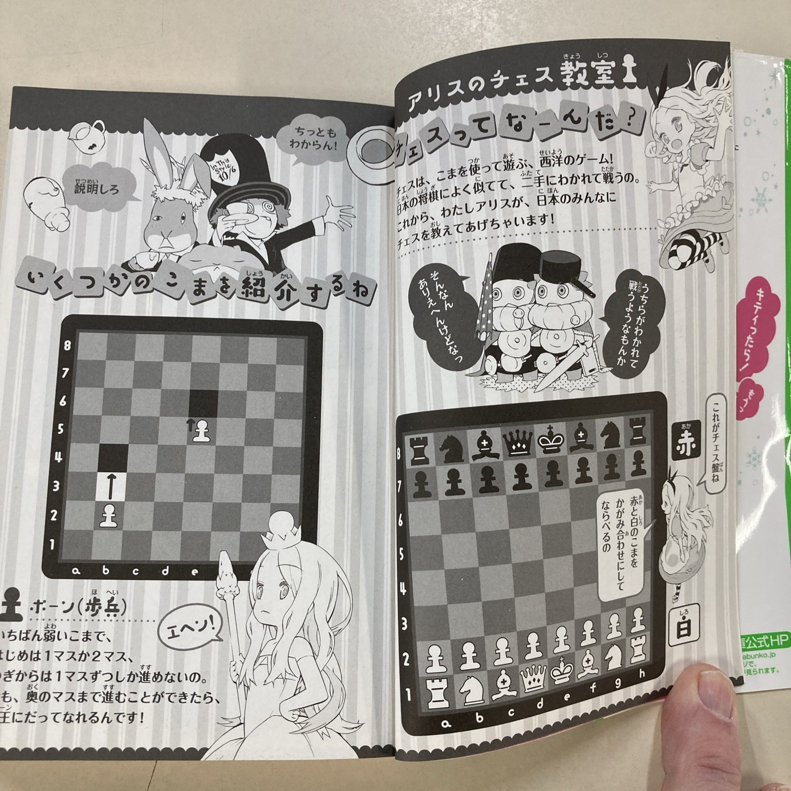 Alice&rsquo;s Adventures in Wonderland and Through the Looking Glass Japanese SC 2010