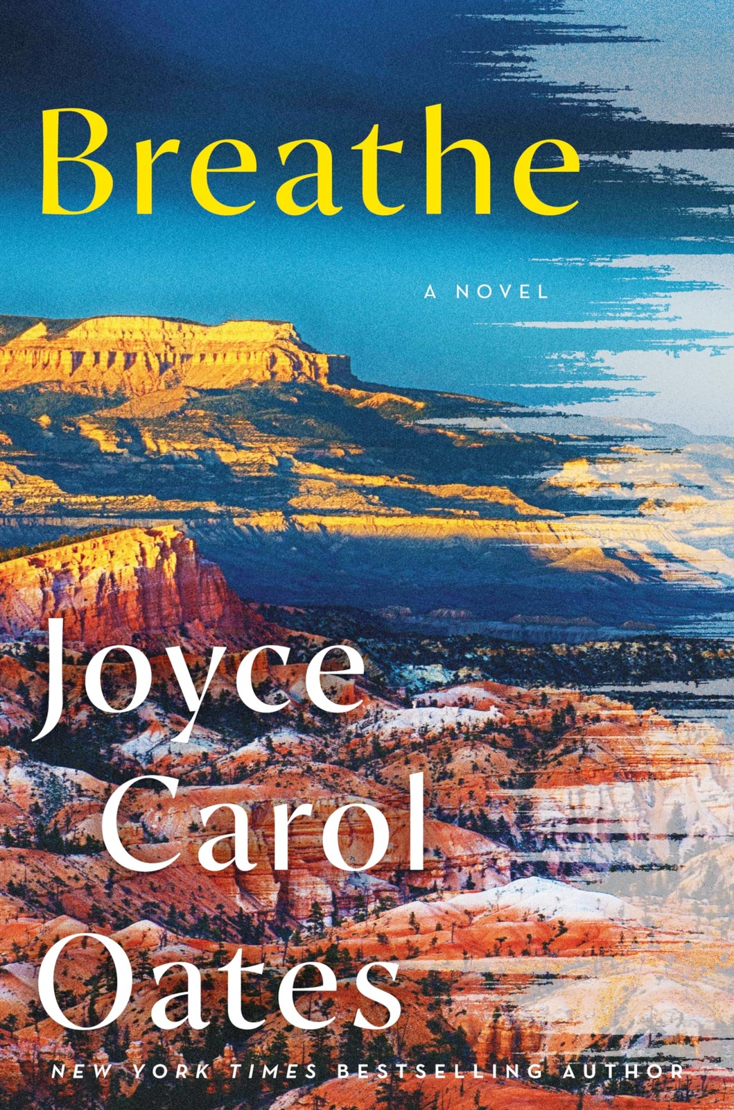Breathe: A Haunting Widow&rsquo;s Story of Love, Grief, and Mysterious Illness –…
