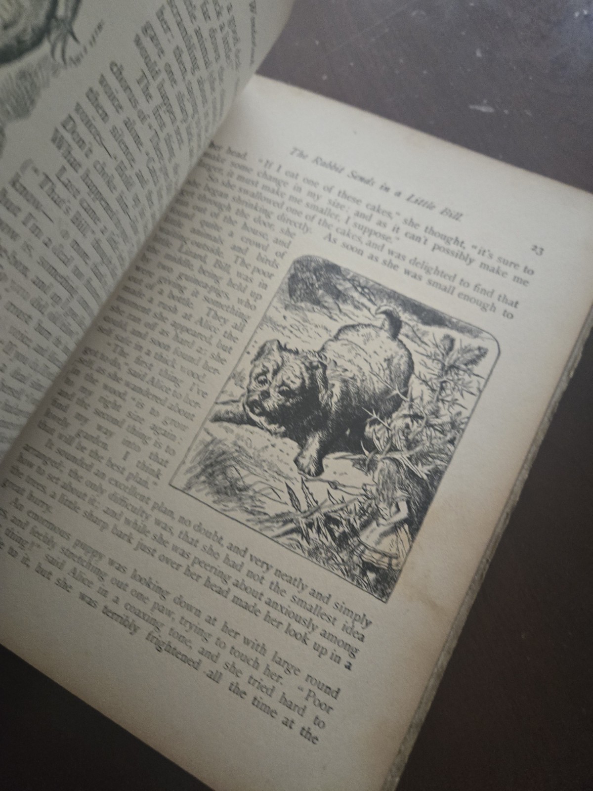 1897 Alice in wonderland lewis carroll donohue henneberry antique
