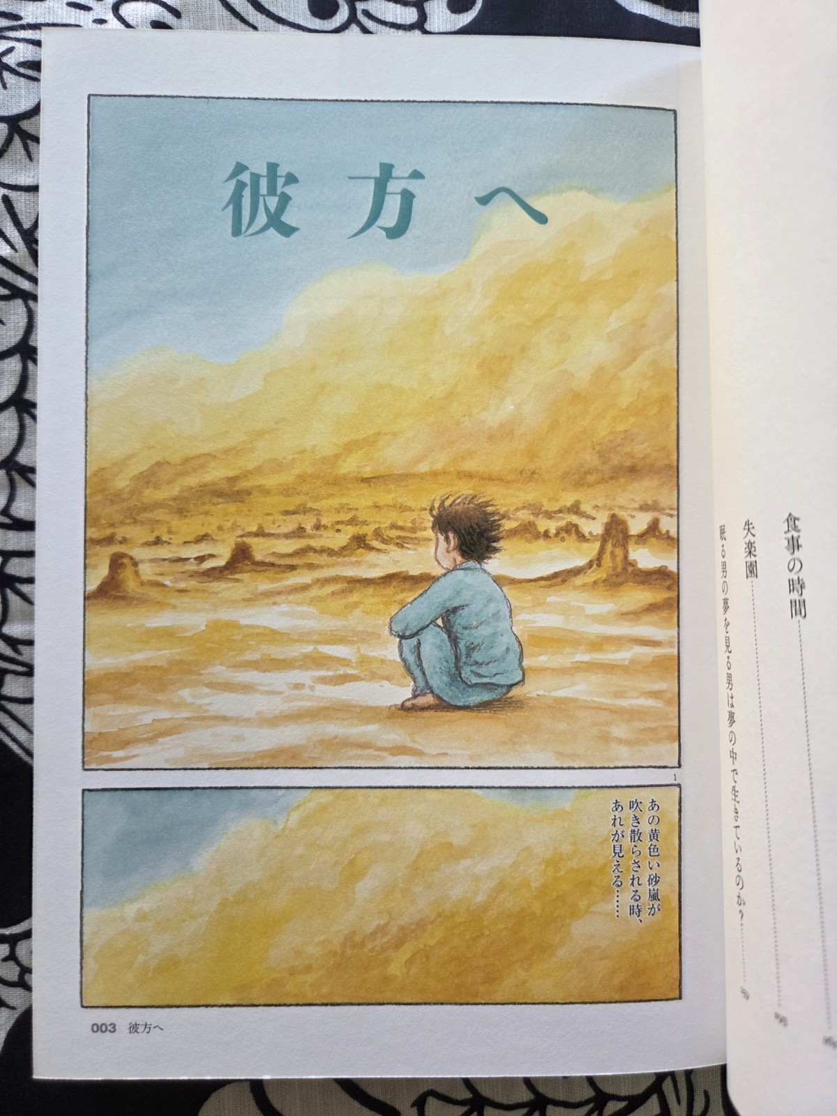 Landscape of Men – Daijiro Morohoshi Special Selection Volume 1 (2013) US Seller