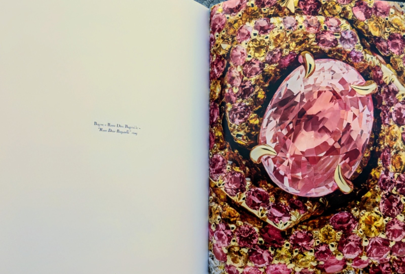 DIOR JOAILLERIE (2013) Hardcover/Color 67 Page Coffee Table Book ~ 12.25&Prime; x 9.5&Prime;