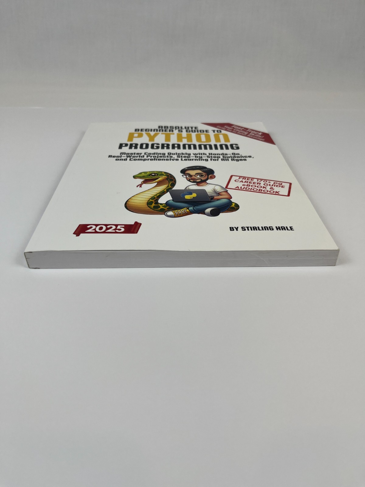 Absolute Beginner&rsquo;s Guide to Python Programming: Master Coding 2025 edition Hale