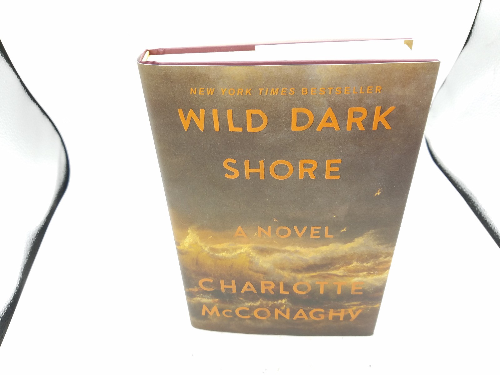 Wild Dark Shore: Reese&rsquo;s Book – Hardcover, by McConaghy Charlotte. NEW! 2025