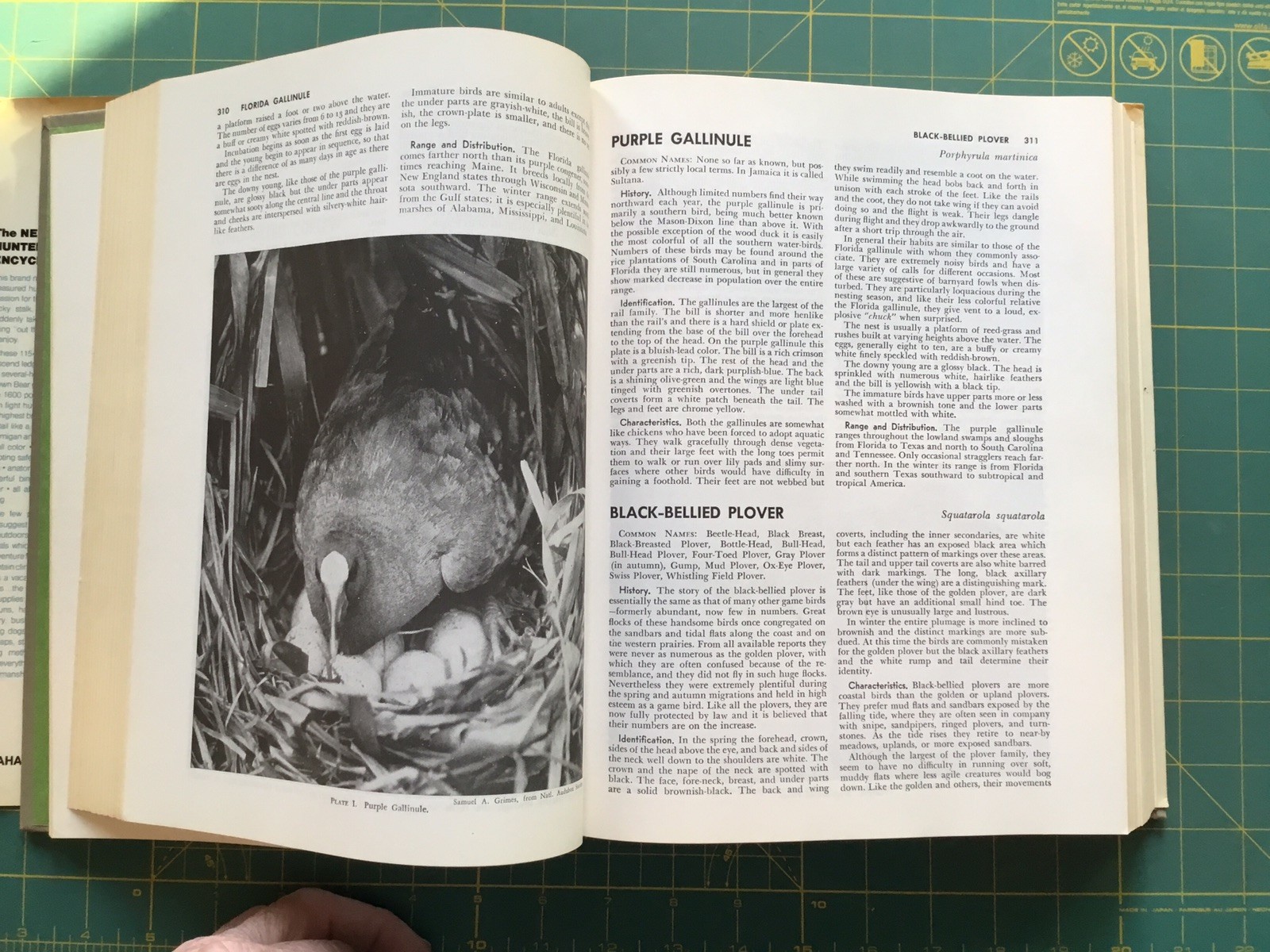 1972 THE NEW HUNTER&rsquo;S ENCYCLOPEDIA, 1054Page Book, Many Pictures, 3rd printing