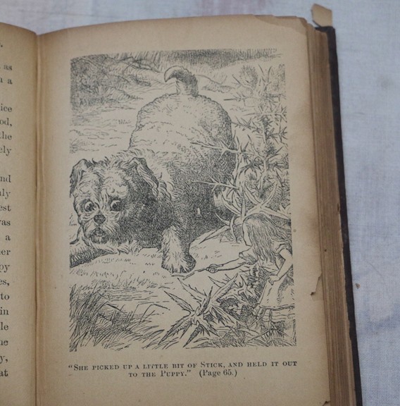 Scarce Antique Alice&rsquo;s Adventures in Wonderland, Illust John Tenniel, c 1890