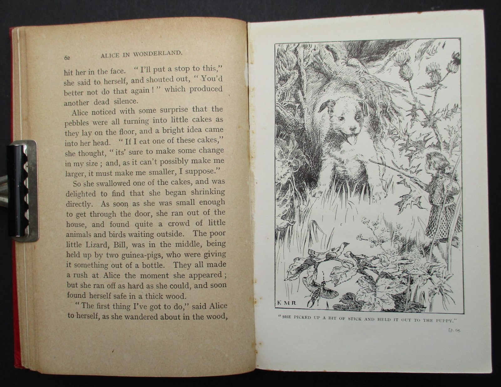 RARE C. 1908 ALICE IN WONDERLAND K M ROBERTS ILLUSTRATED ART NOUVEAU BINDING