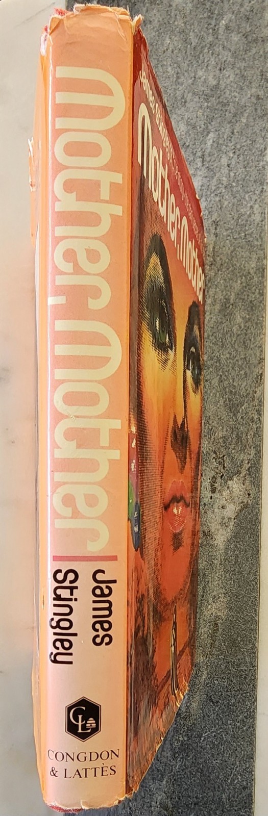 Mother, Mother by James Stingley 1981 First Edition Hardcover w/ Dust Jacket