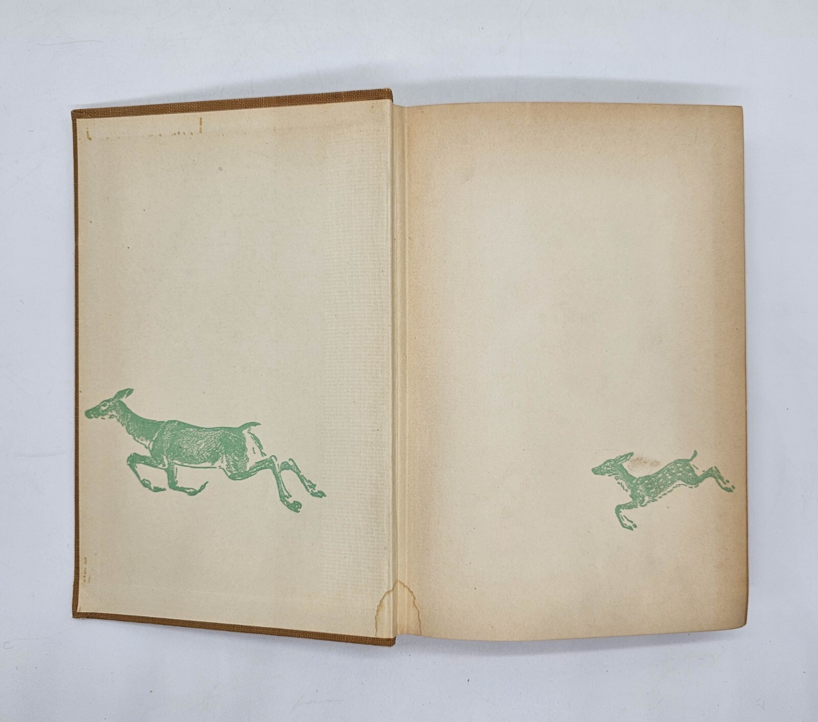 Bambi 1929 by Felix Salten 1st English Ed Illustrated HC Dust Jacket 293 pg Book