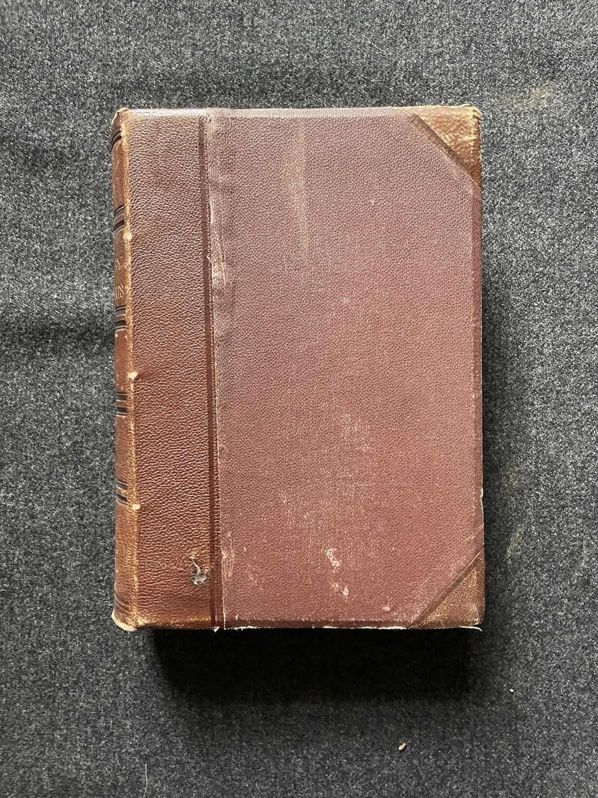 Special Pathology and Diagnostics with Therapeutic Hints C. G. Raue 1882 Leather