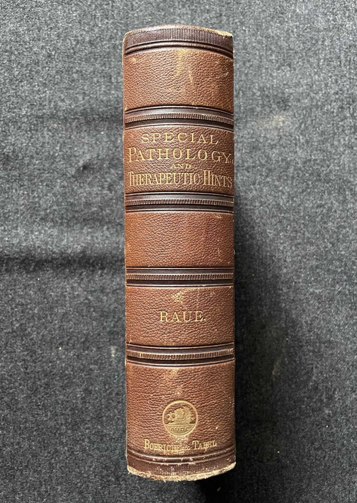 Special Pathology and Diagnostics with Therapeutic Hints C. G. Raue 1882 Leather
