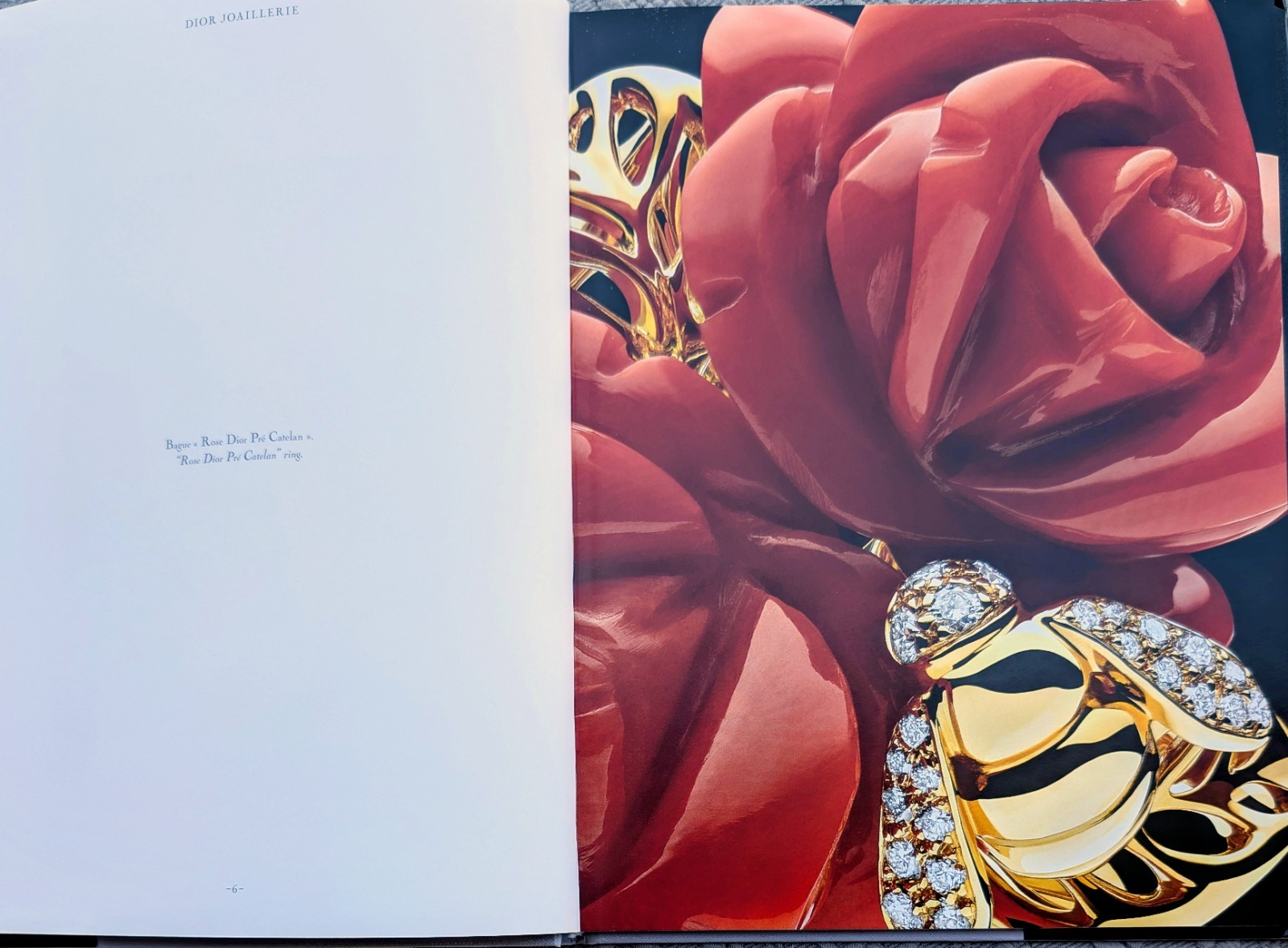 DIOR JOAILLERIE (2013) Hardcover/Color 67 Page Coffee Table Book ~ 12.25&Prime; x 9.5&Prime;