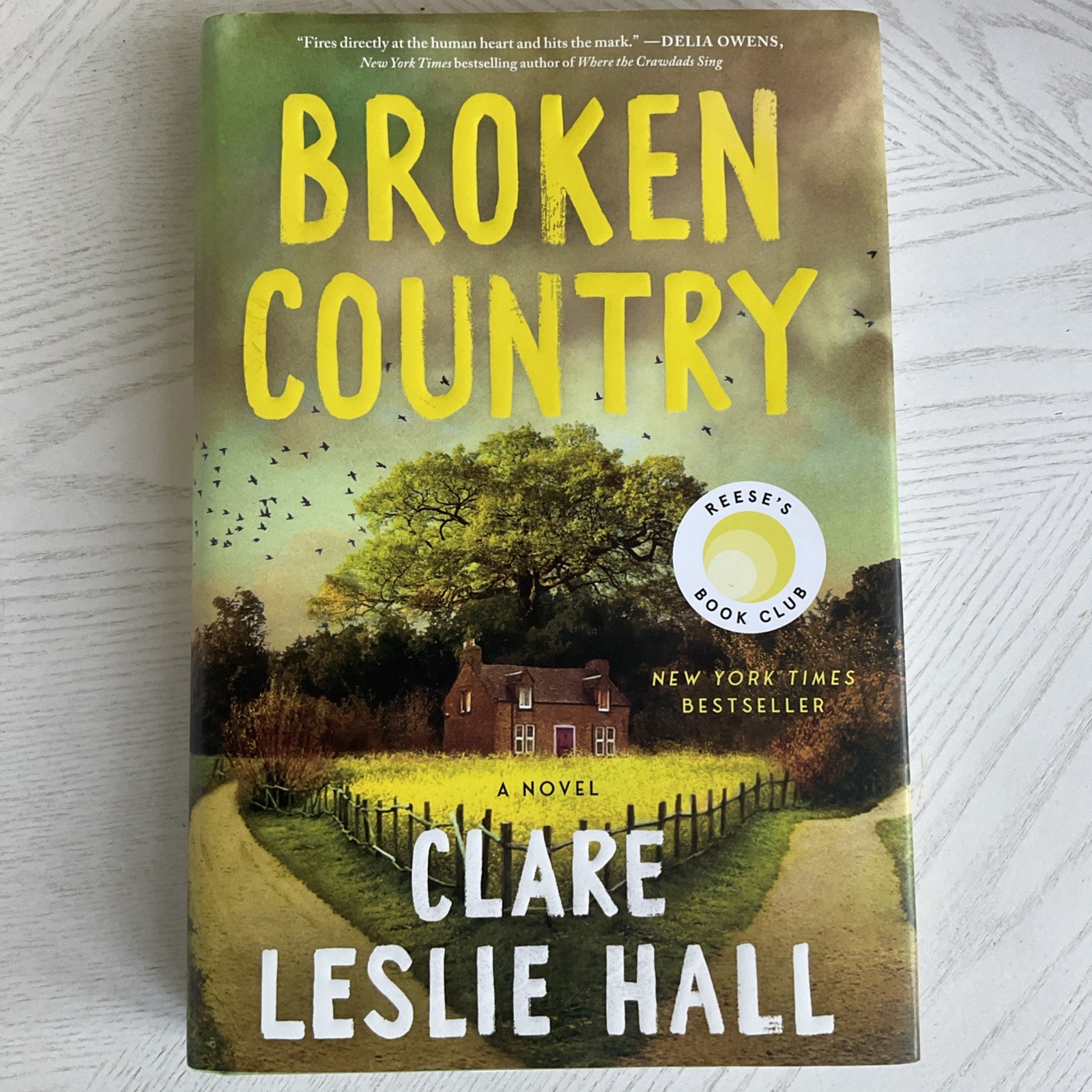 Broken Country by Clare Leslie Hall, Hardcover, Picador, Reese&rsquo;s Book Club