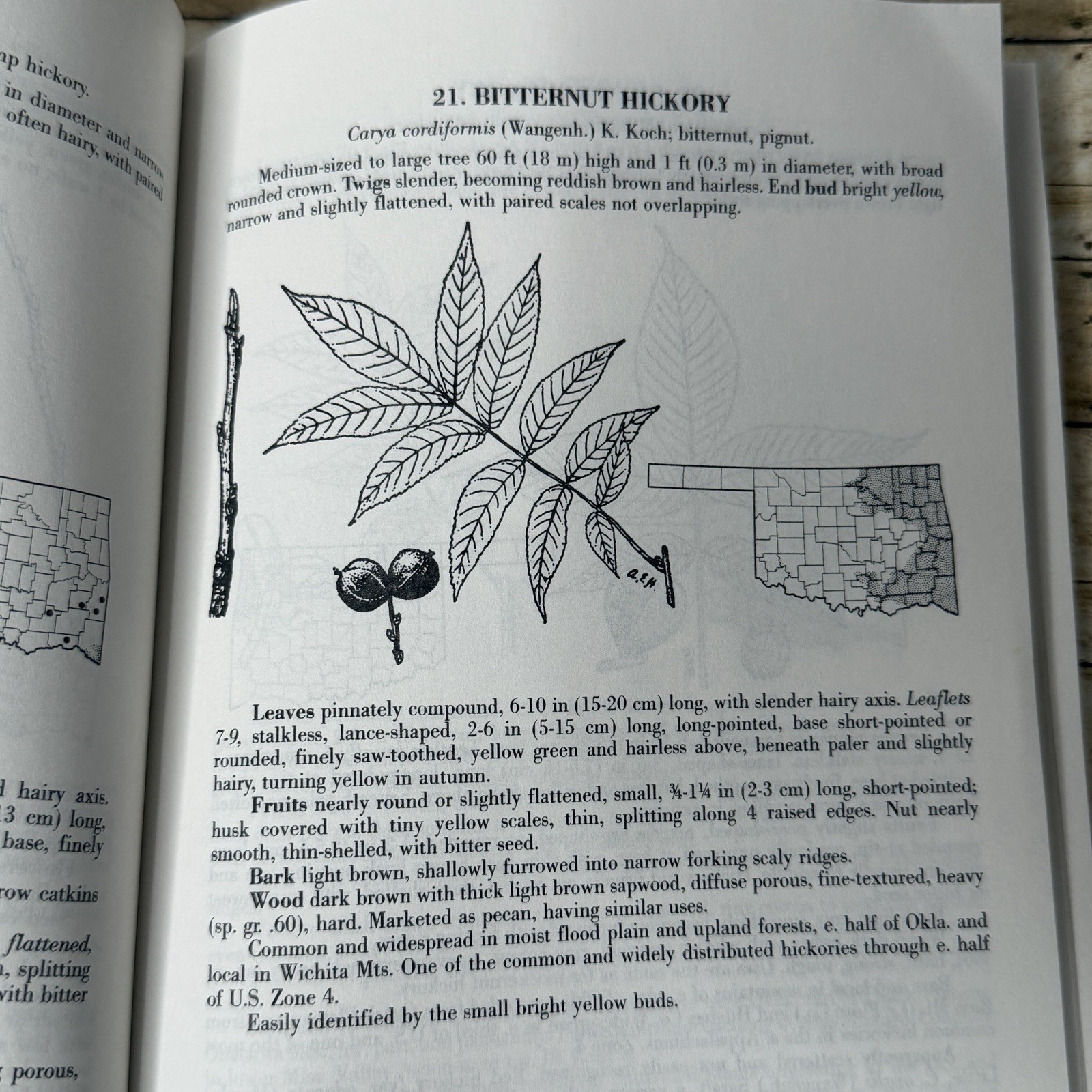 Forest Trees of Oklahoma Guidebook 1991 How to Know Them Botany Illustrated