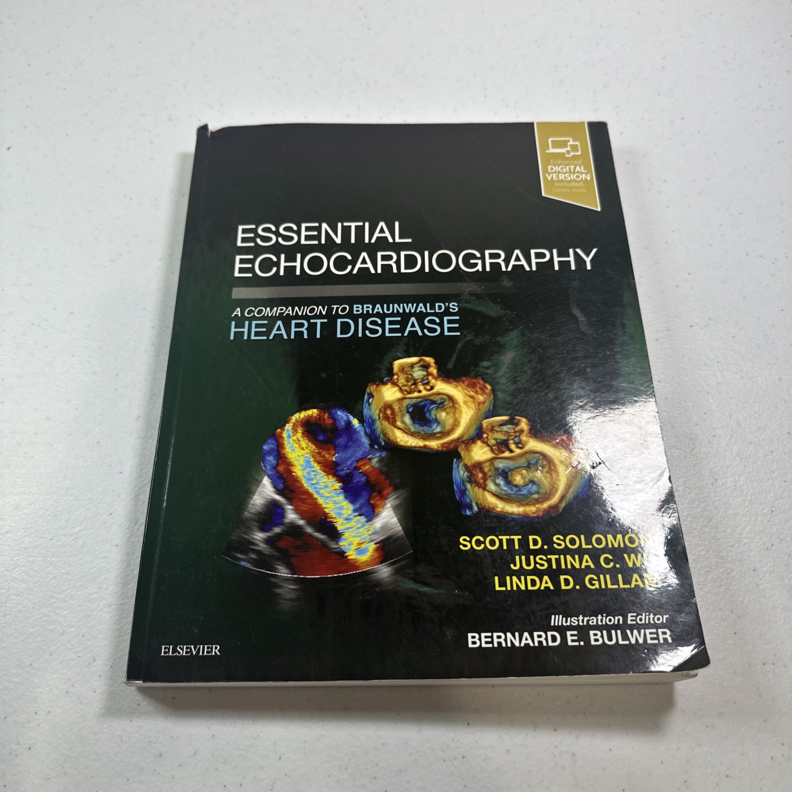 Essential Echocardiography : A Companion to Braunwald&rsquo;s Heart Disease, Paperb…