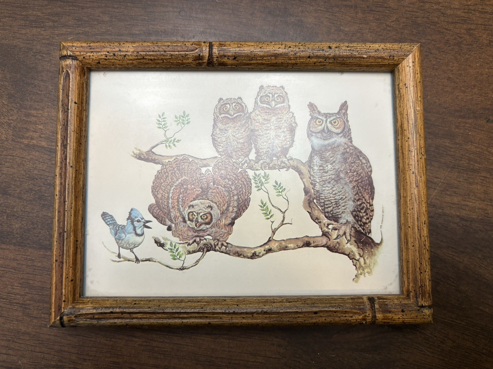 Framed Picture of Owl Family & a Bluebird 5.5 In by 6.5 In Wood Frame Vtg