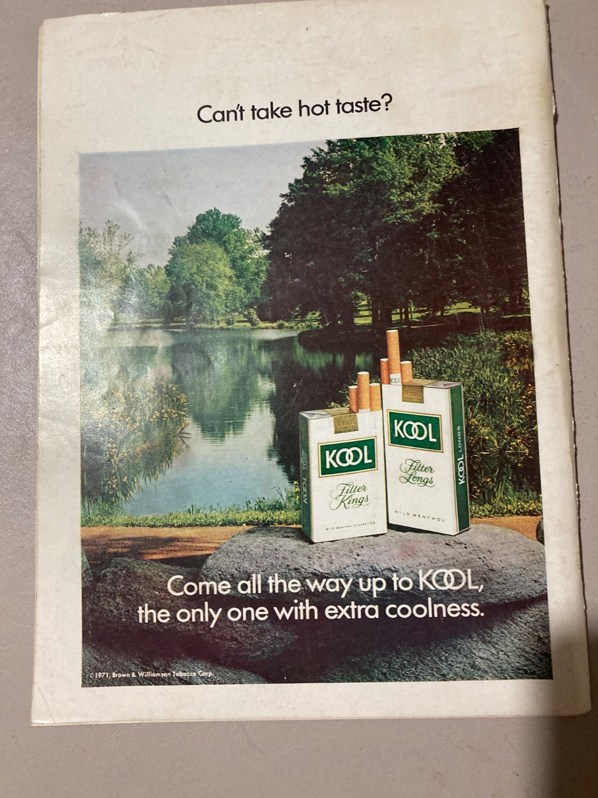 Playboy March 1971 Rare Cover Variant International Edition Girls of Holland
