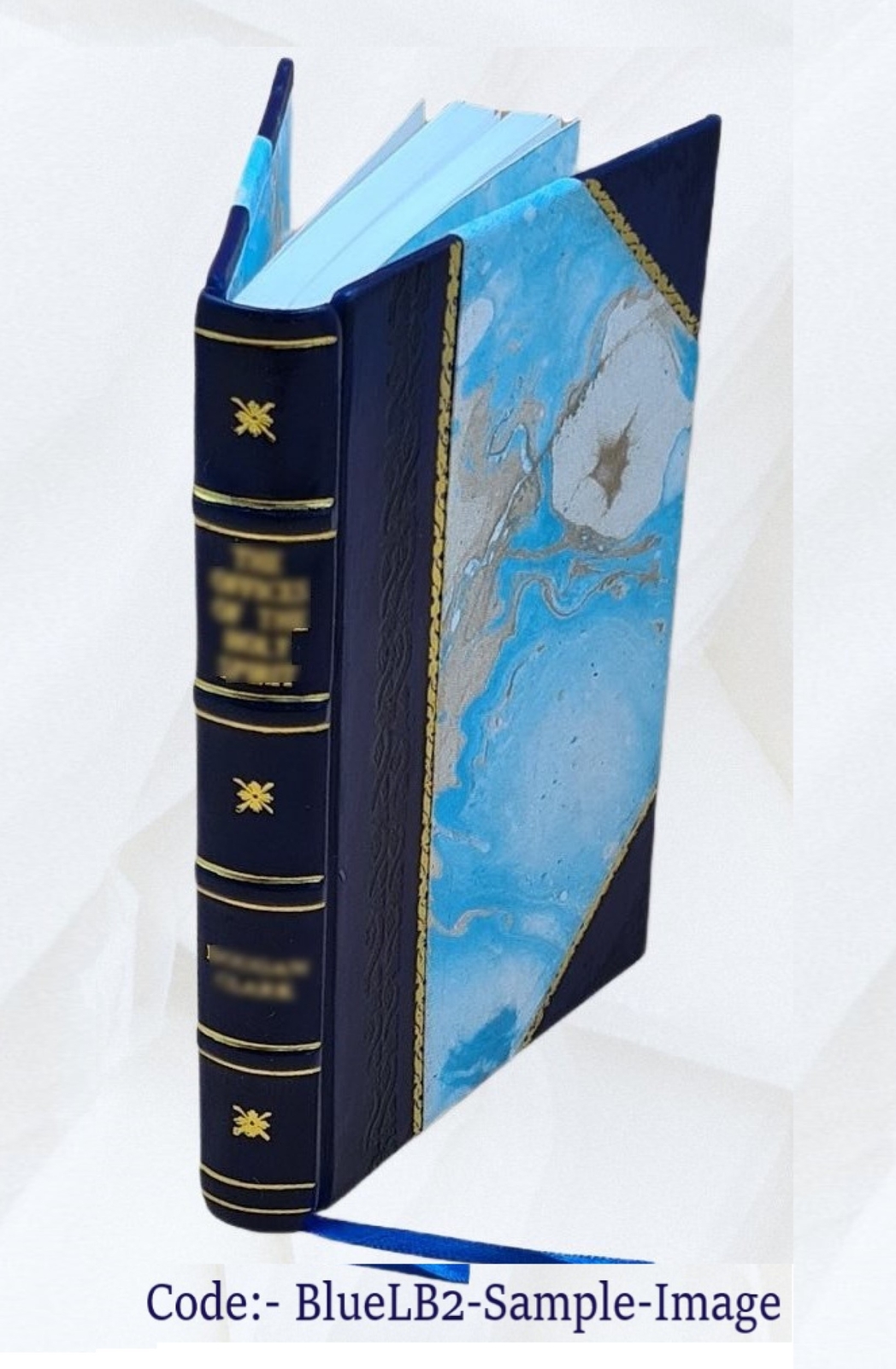 Teaching dull and retarded children, by Annie Dolman Inskeep … [Leather Bound]