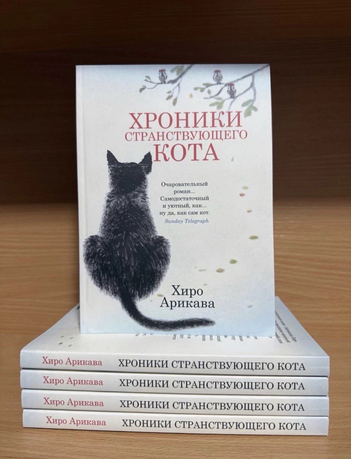 Японская проза Set 5 Book Гэнки Кавамура Макото Синкай Кошки Genki Kawamura