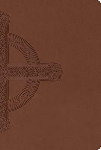 NLT Large Print Premium Value Thinline Bible, Filament Enabled Edition