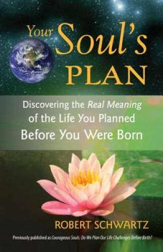 Your Soul&rsquo;s Plan: Discovering the Real Meaning of the Life You Plann – VERY GOOD