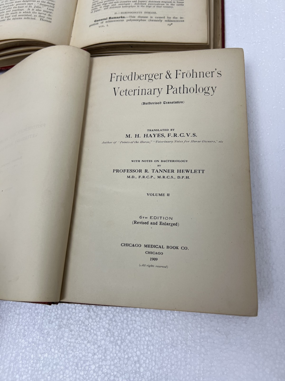 Friedberger & Frohner&rsquo;s Veterinary Pathology 1909 2 Vol Set MH Hayes farm 6th Ed