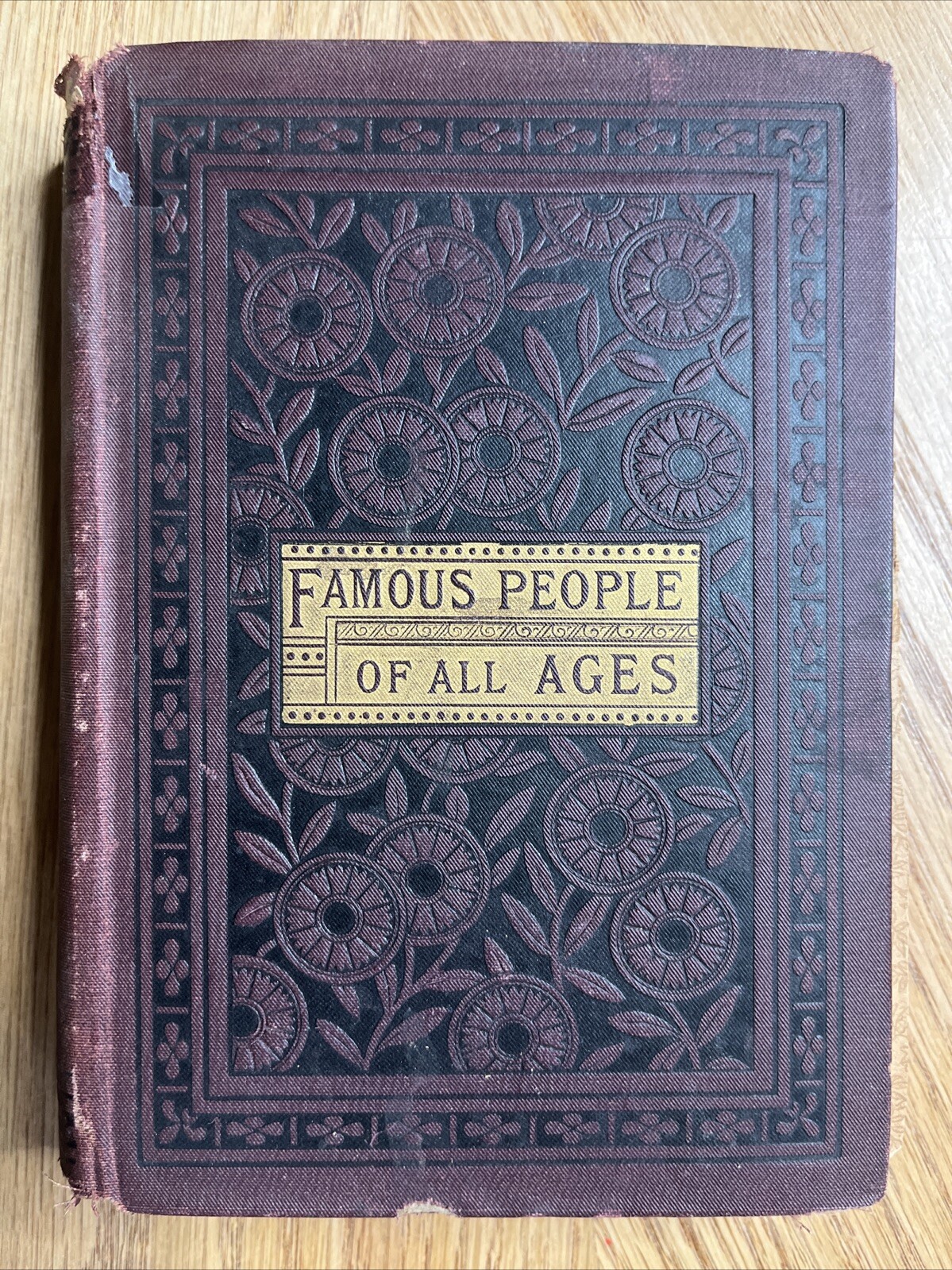 Famous People Of All Ages By W. H. Van Orden VTG 1885