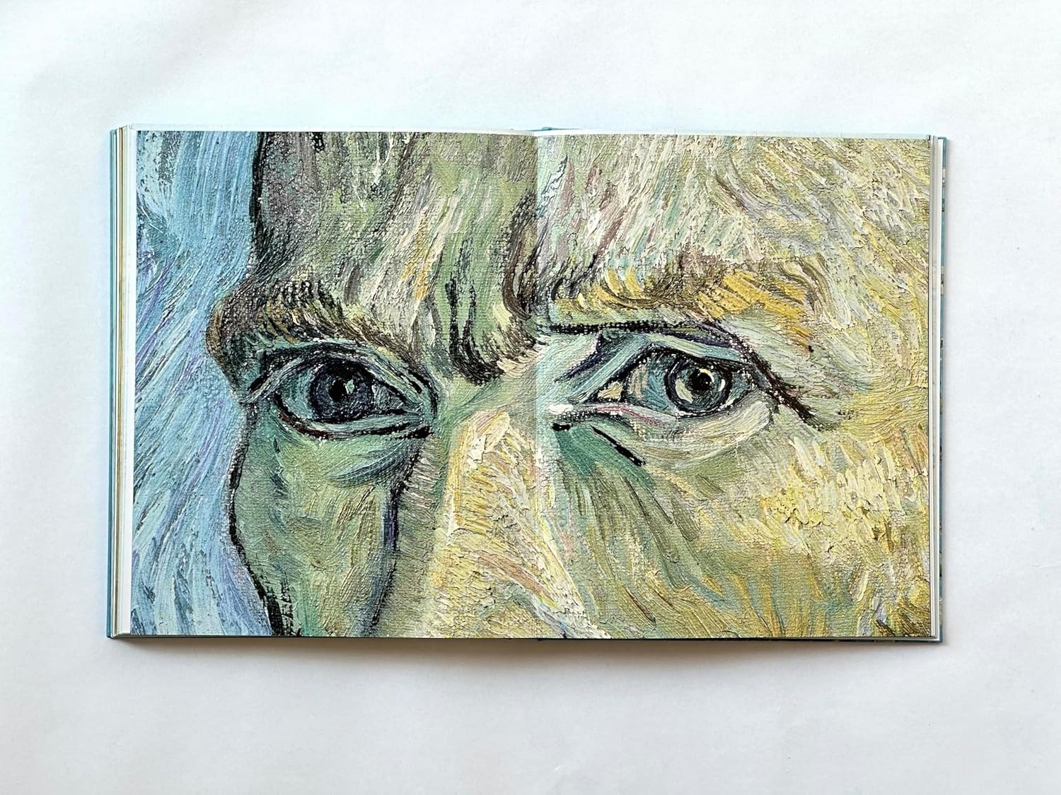 Van Gogh:The Bigger Picture by Anne Sefrioui Hardcover Book Brand New In Plastic