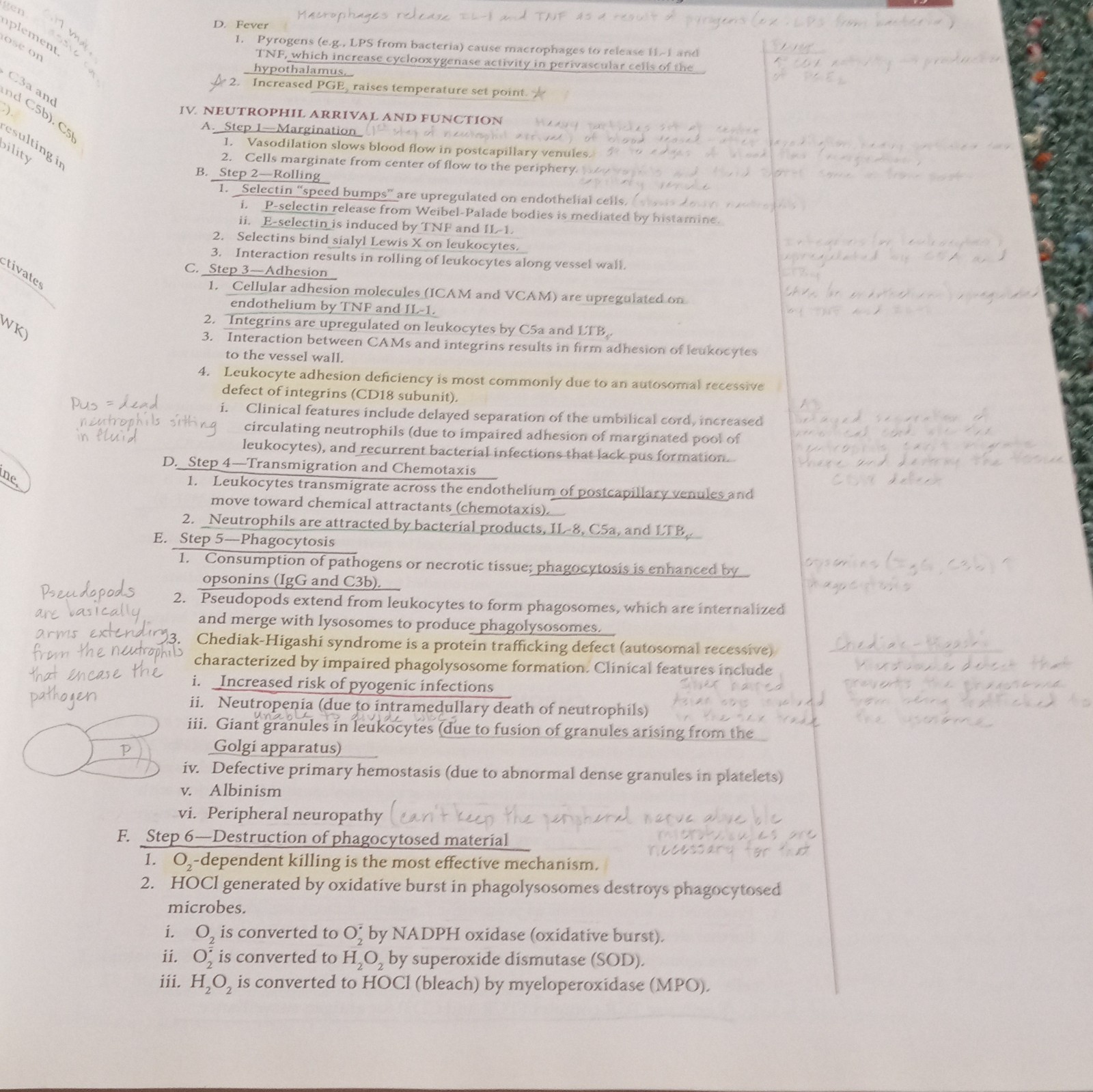 Husain A. Sattar Fundamentals of Pathology 2015 Paperback Step 1 Illustrated