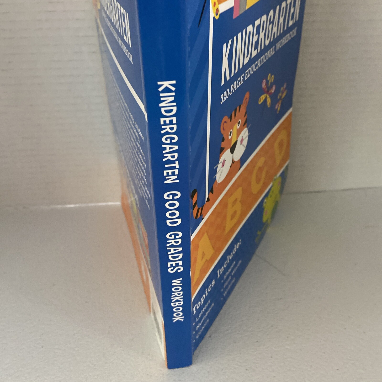 Good Grades Workbook KINDERGARTEN 2016 320 Pages. Ages 5-6. BRAND NEW