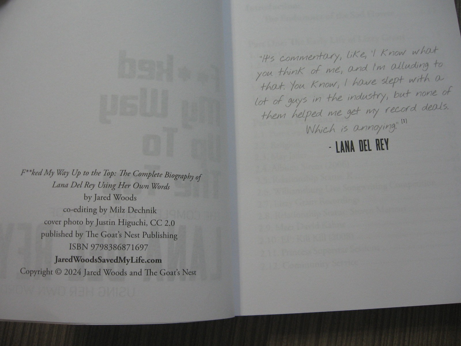 LANA DEL REY – F&rsquo;ED MY WAY TO THE TOP BIOGRAPHY – RARE OOP PAPERBACK – 2024