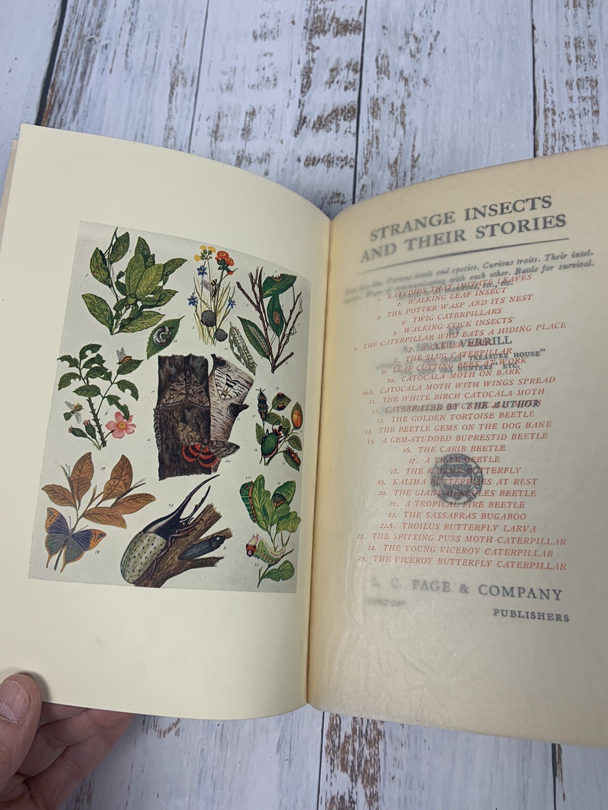 Strange Insects and Their Stories by A. Hyatt Verrill 1937 U.S.A. 205 Pages