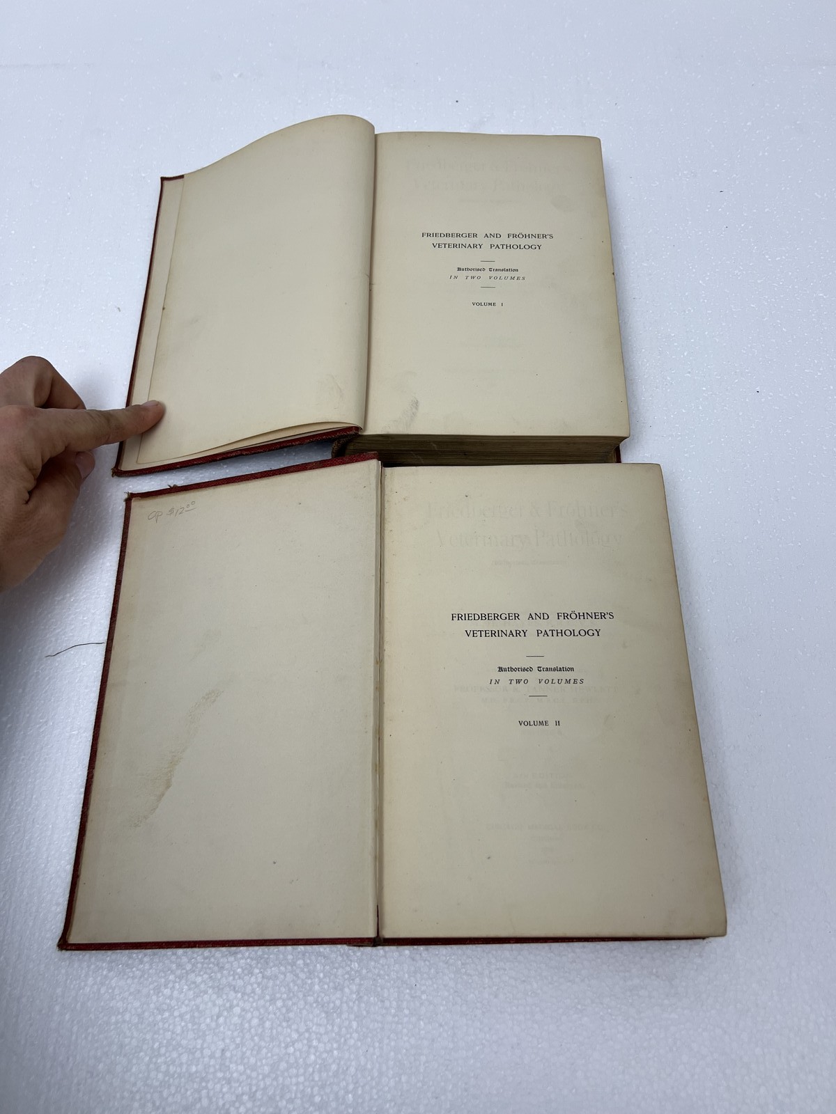 Friedberger & Frohner&rsquo;s Veterinary Pathology 1909 2 Vol Set MH Hayes farm 6th Ed