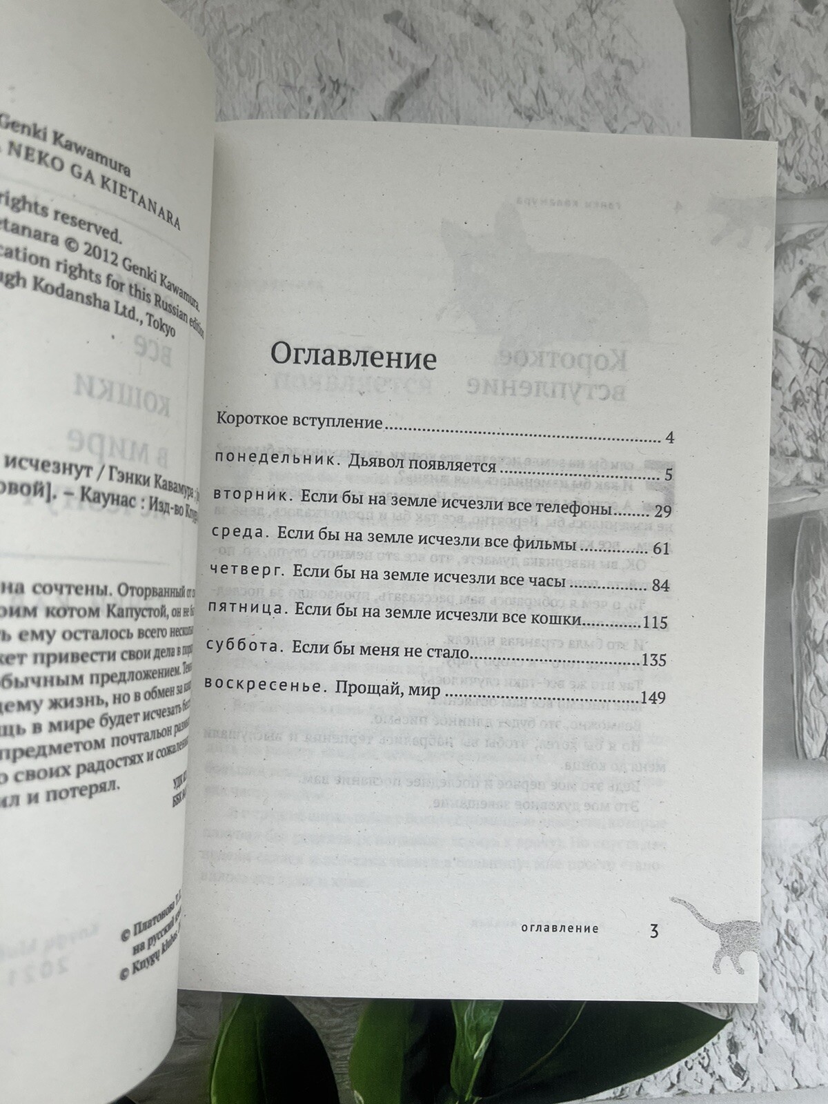 Японская проза Set 5 Book Гэнки Кавамура Макото Синкай Кошки Genki Kawamura