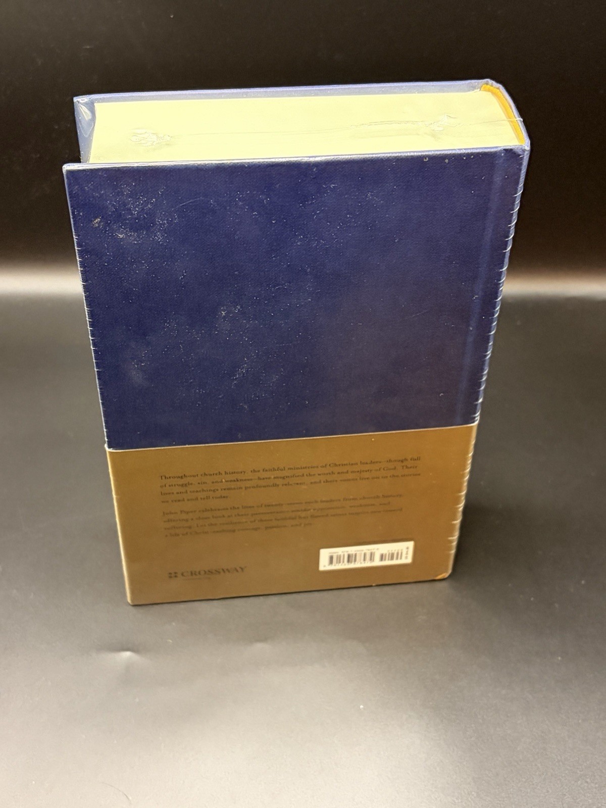 27 Servants of Sovereign Joy The Swans Are Not Silent John Piper New Sealed