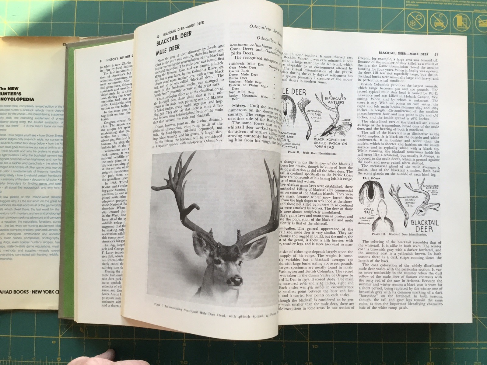 1972 THE NEW HUNTER&rsquo;S ENCYCLOPEDIA, 1054Page Book, Many Pictures, 3rd printing