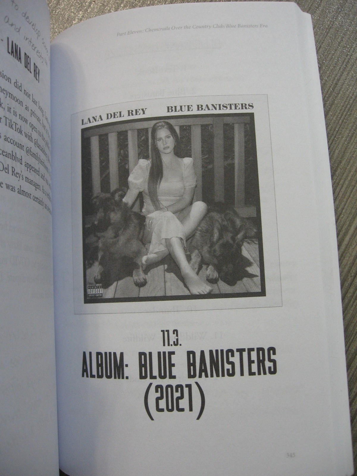 LANA DEL REY – F&rsquo;ED MY WAY TO THE TOP BIOGRAPHY – RARE OOP PAPERBACK – 2024