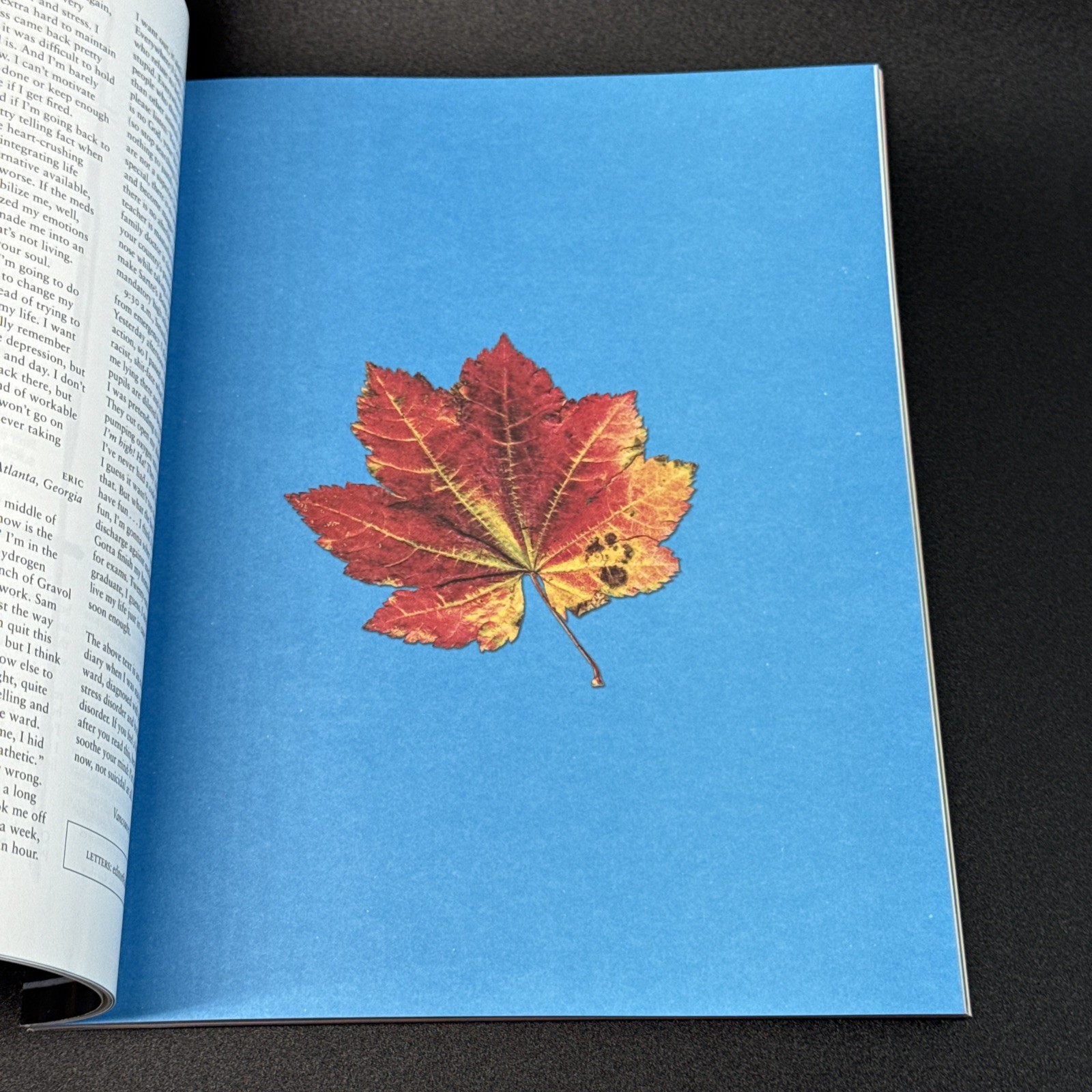 Adbusters Magazine #55 September October Volume 12 Number 5 No Future Issue
